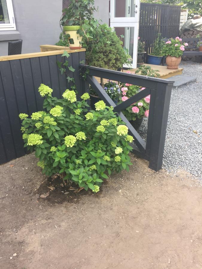 Bønnerup Strand Molino Bed & Breakfast エクステリア 写真
